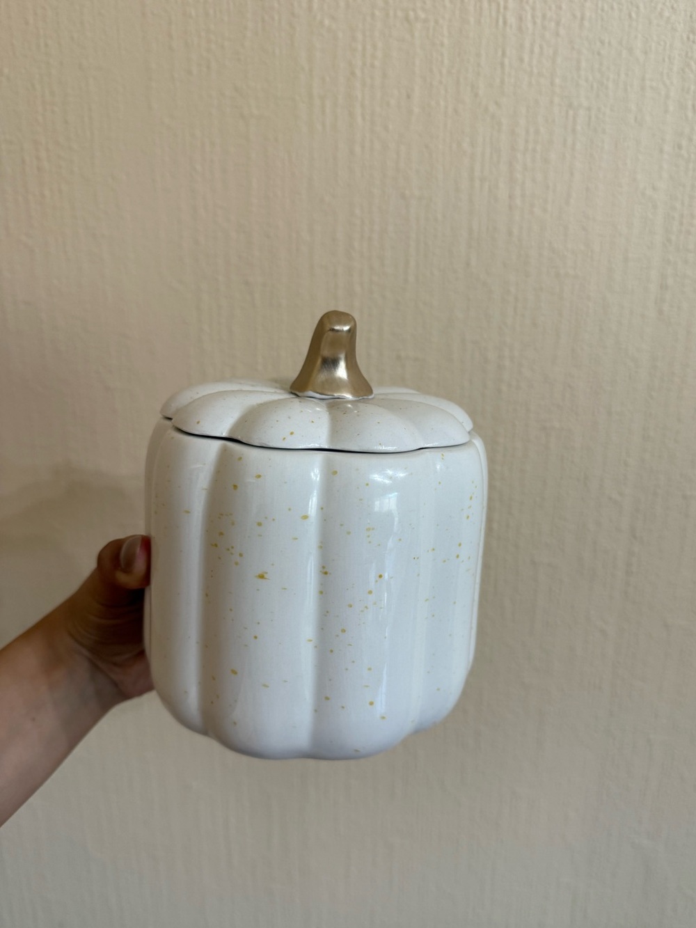 Pumpkin canister